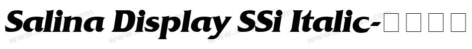 Salina Display SSi Italic字体转换